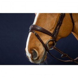 Dyon Anatomic Flash Noseband Bridle D Collection