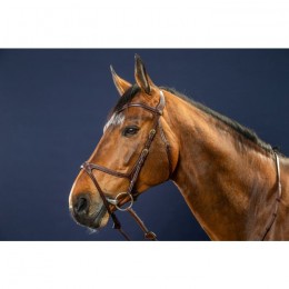 Dyon Bridle X-Fit D Collection