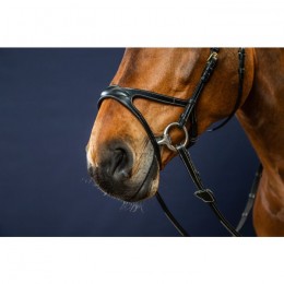 Dyon Bridle X-Fit D Collection