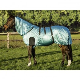 Busse Eczema Rug Strong