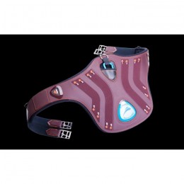 eQuick eDiamond Girth