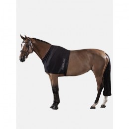 Equiline chest protector Edinburgh
