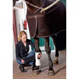 Eskadron Climatex bandage-pads