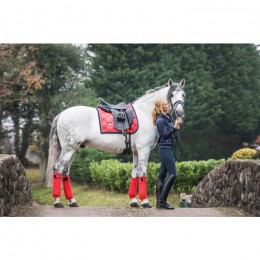Equestrian Stockholm dressage saddle pad Grenadine