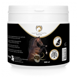 Excellent Horse Hoof