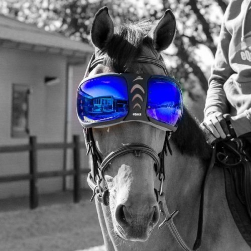 eQuick eVysor Lenses