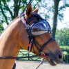 eQuick eVysor