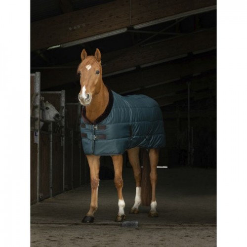 EQUITHÈME Staldeken Teddy
