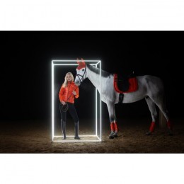 Squadron FW25 Dynamic Jewel Earnet