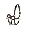 Eskadron Halter Shetty