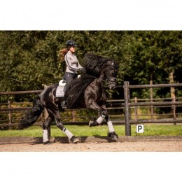 Equestrian Stockholm SS'22 Sportive Blue Ash dressage pad