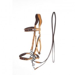 F.R.A. Bridle Esprit