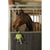 Excellent Horse Foodie Friends