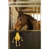 Excellent Horse Foodie Friends