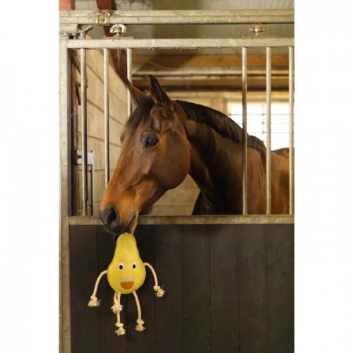 Excellent Horse Foodie Friends