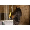 Excellent Horse Foodie Friends