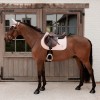 Kentucky Sparkling Jumping Saddle Pad