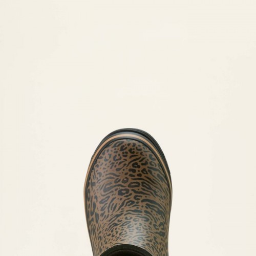 Ariat Kelmarsh Mid Panther