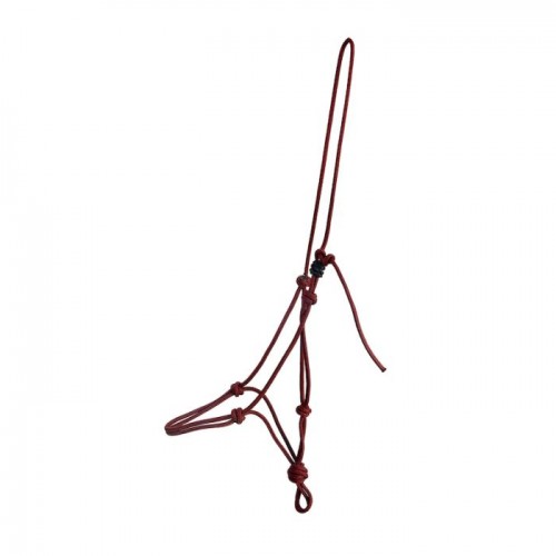F.R.A. training halter Lazy