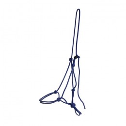 F.R.A. training halter Lazy