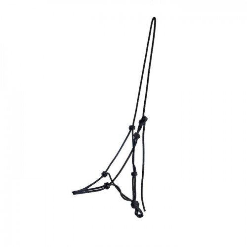 F.R.A. training halter Lazy