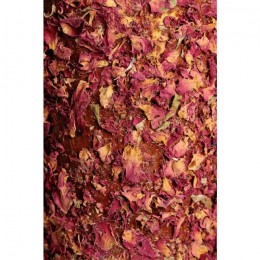 Grooming Deluxe Wooden Relax Horse Toy Freedom