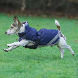 Bucas Freedom Dog Blanket