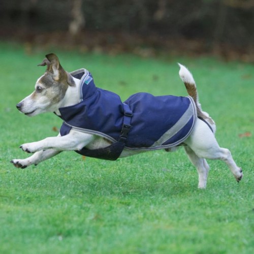 Bucas Freedom Dog Blanket