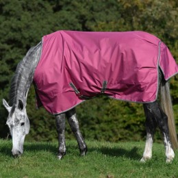 Bucas Freedom Turnout Raspberry