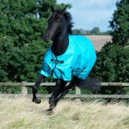 Bucas Freedom Turnout Light Sweet Blue