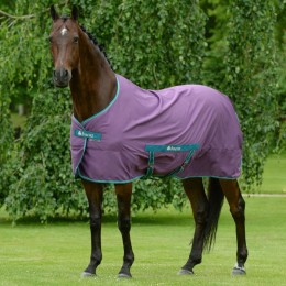 Bucas Freedom Twill Sheet Violet / Green