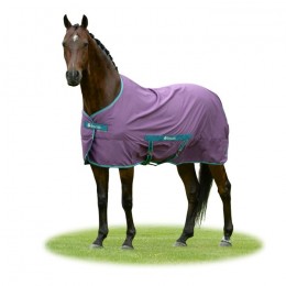 Bucas Freedom Twill Sheet Violet / Green