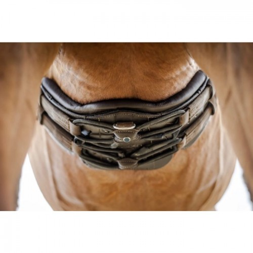 Stübben Equi-Soft girth without pad
