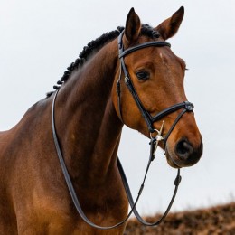 Trust Geneva bridle