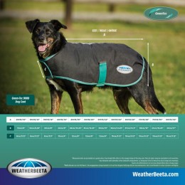 Weatherbeeta Green-Tec 900D Medium Dog Coat