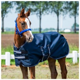 HB Showtime Foal Rug