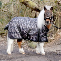 HB Outdoor Rug Leopard Harry and Hector 0g