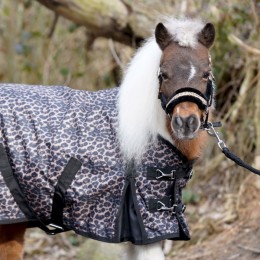 HB Outdoor Rug Leopard Harry and Hector 0g