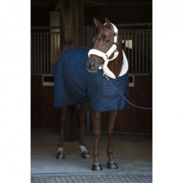 HB Showtime Steelblue Desir Show Rug