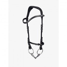 PS of Sweden Helsinki Bridle