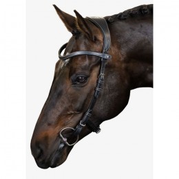 PS of Sweden Helsinki Bridle