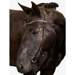 PS of Sweden Helsinki Bridle