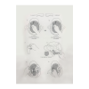 Kask Lateral Inserts 2.0