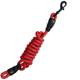 Excellent Lead Rope Exclusive Reflective