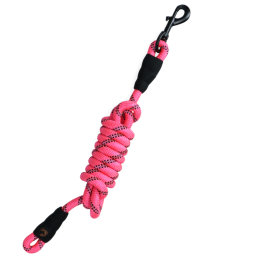Excellent Lead Rope Exclusive Reflective