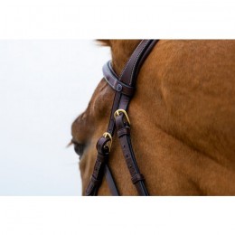 Trust Hickstead bridle hackamore
