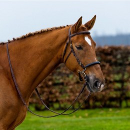Trust Hickstead bridle hackamore
