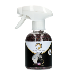 Hi Gloss Glitter Spray