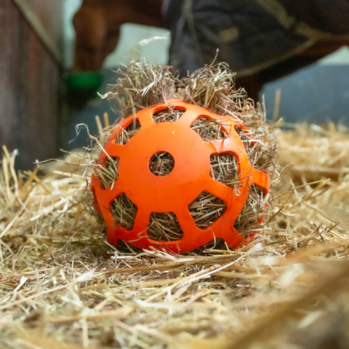 Hay Slowfeeder Fun and Flex 22 cm