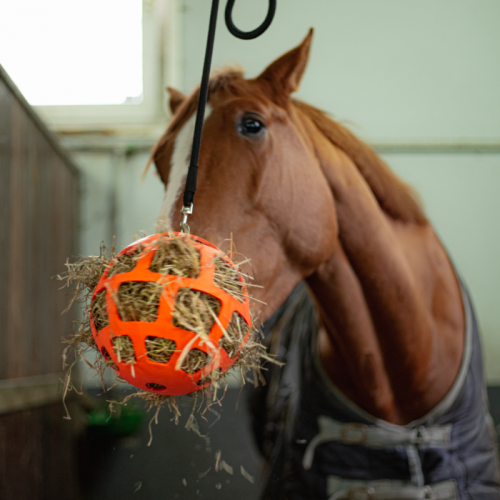 Hay Slowfeeder Fun and Flex 22 cm
